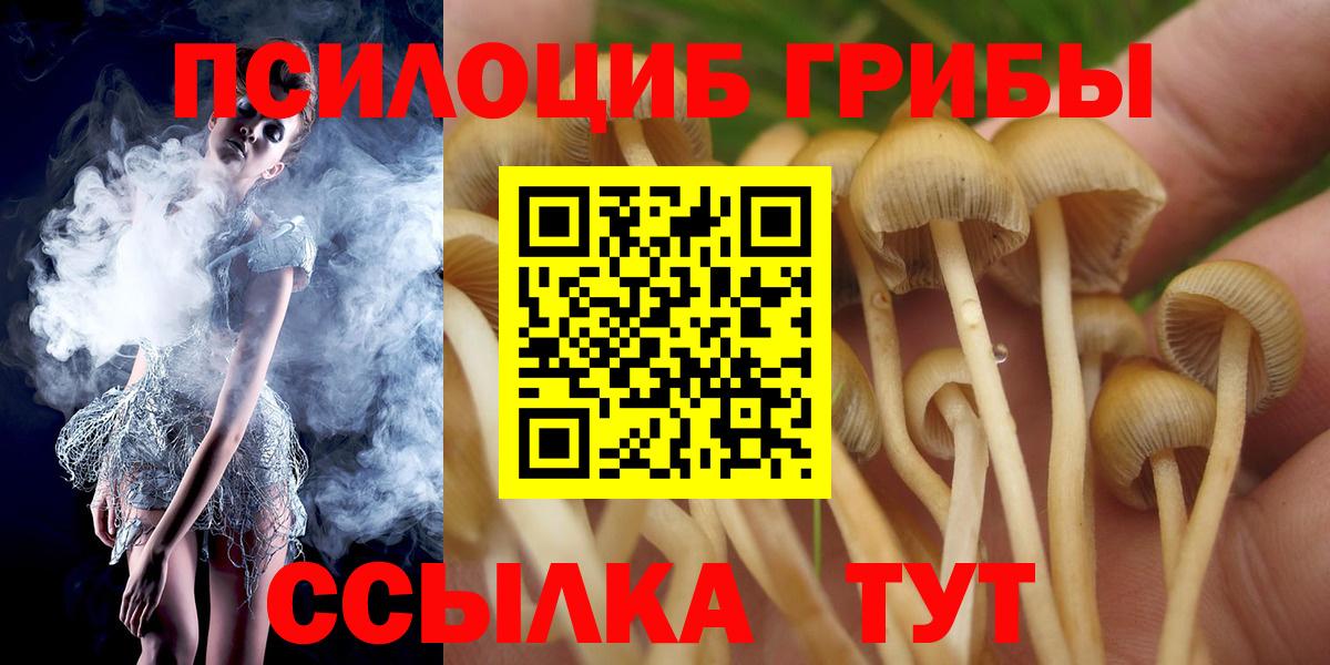 где можно купить   Галлюциногенные грибы Cubensis  Вход с VPN  Барабинск  Псилоцибиновые грибы Magic Shrooms 