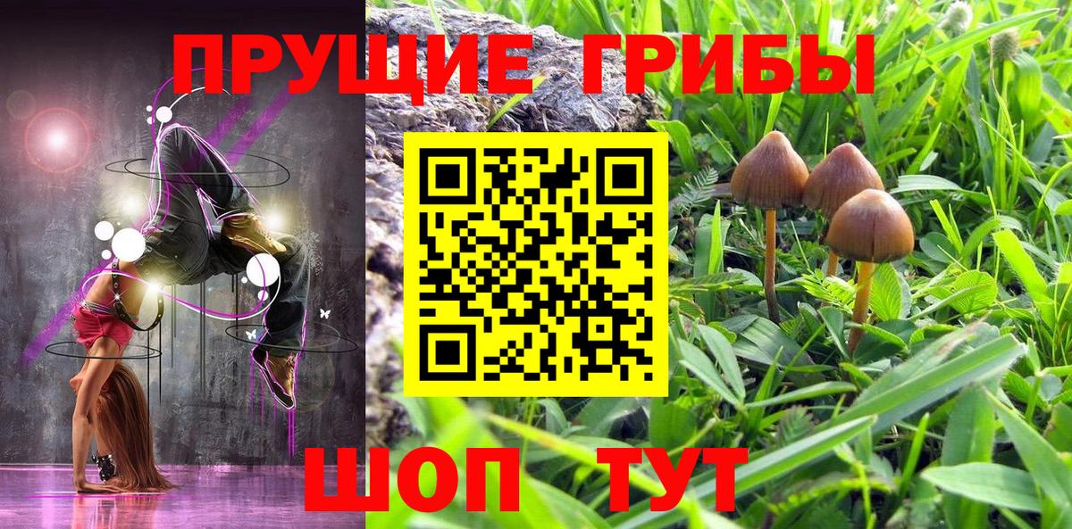 Псилоцибиновые грибы Cubensis Барабинск